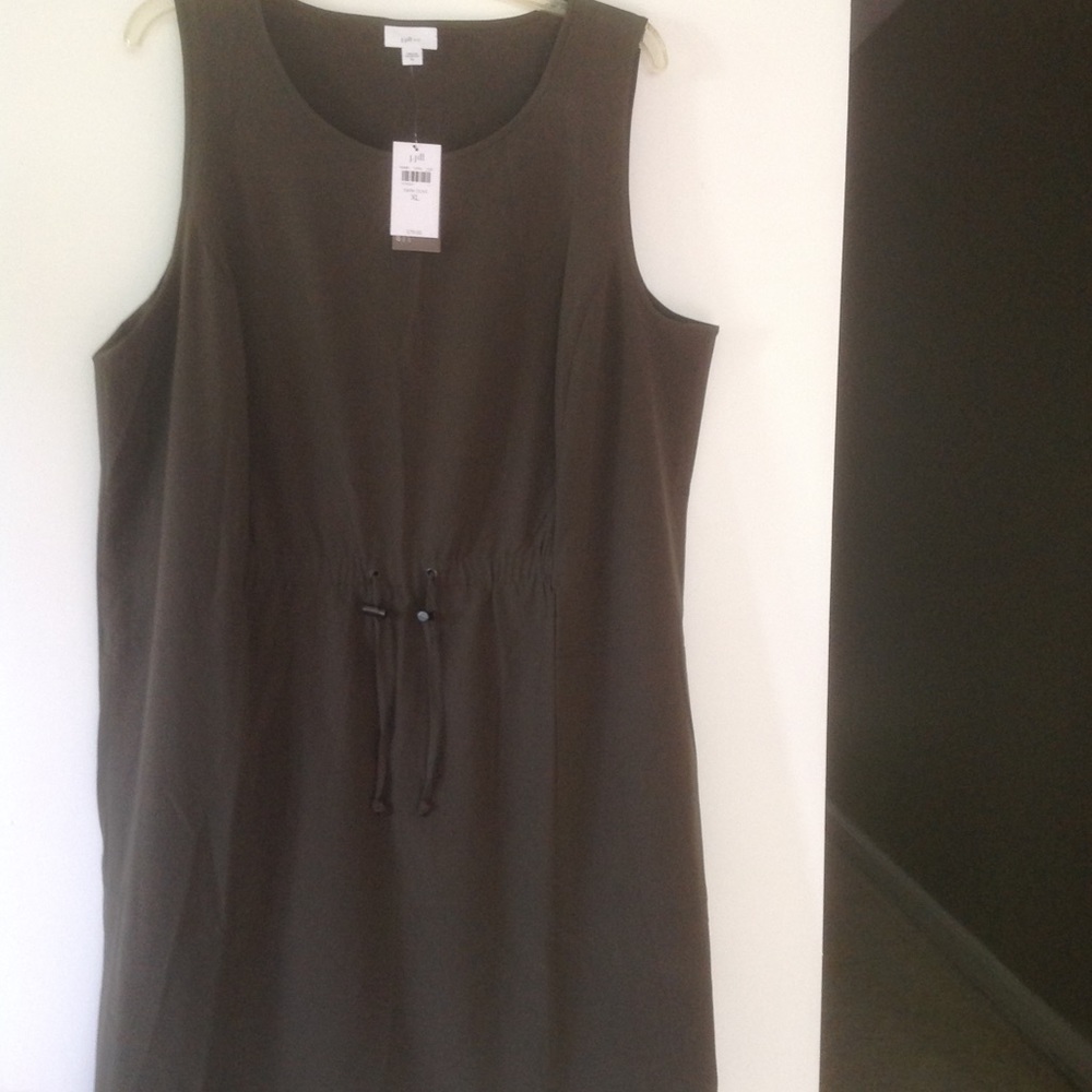 NWT J.Jill Fit Dress